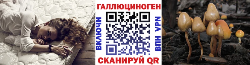 Галлюциногенные грибы прущие грибы наркота Ясногорск