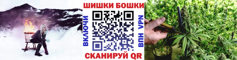 дарнет шоп  Ясногорск  Бошки марихуана OG Kush 